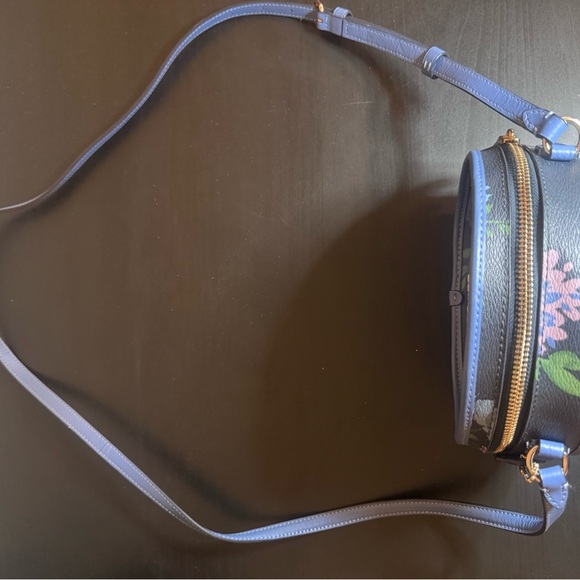 Coach Canteen Crossbody limited edition Bag - Picture 12 of 13